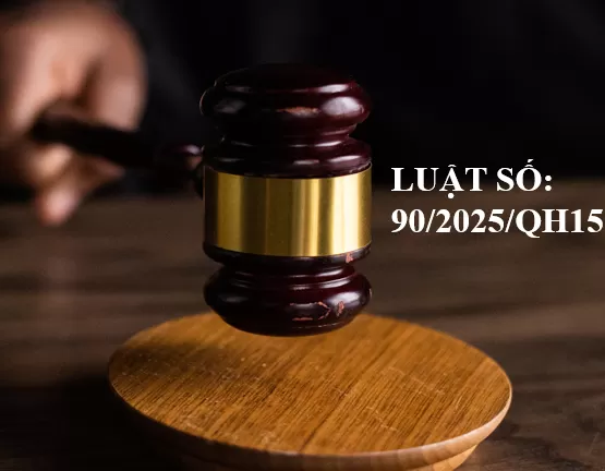 Luật số: 90/2025/QH15 sửa đổi bổ sung một số điều của Luật Đấu thầu, Luật Đầu tư theo phương thức đối tác công tư, Luật Hải quan, Luật Thuế GTGT, Luật Thuế xuất khẩu, thuế nhập khẩu, Luật Đầu tư, Luật Đầu tư công, Luật Quản lý, sử dụng tài sản